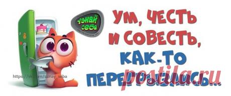 Ум, честь и совесть,
как-то перегрызлись...

#uznay_seba