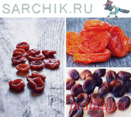 КАК ВЫБРАТЬ НАТУРАЛЬНУЮ КУРАГУ - SARCHIK.RU Всё для вас и Вашей семьи (женский журнал)