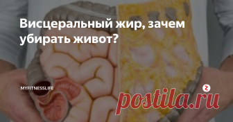 Висцеральный жир, зачем убирать живот? Жир в области талии не только эстетическая проблема. Ожирение  доставляет неприятностей больше, чем неудобство и следы на теле от  ношения тесной одежды.
Учеными установлено, что жировая ткань  представляет собой эндокринный орган, который синтезирует 30  биологически активных веществ:
стероидные гормоны: эстрогены;
цитокины: лептин, адипсин, резистин;
