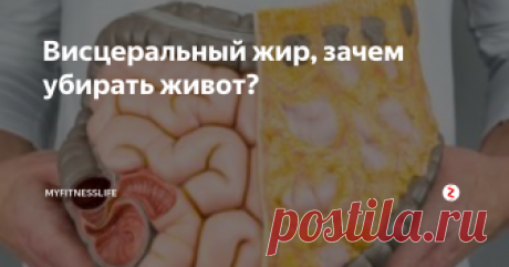 Висцеральный жир, зачем убирать живот? Жир в области талии не только эстетическая проблема. Ожирение  доставляет неприятностей больше, чем неудобство и следы на теле от  ношения тесной одежды.
Учеными установлено, что жировая ткань  представляет собой эндокринный орган, который синтезирует 30  биологически активных веществ:
стероидные гормоны: эстрогены;
цитокины: лептин, адипсин, резистин;