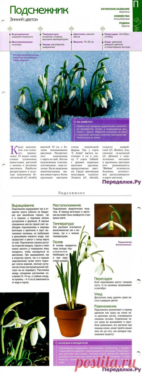 Подснежник * Переделки.РуПеределки.Ру