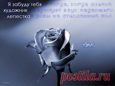 Афоторизмы dj_talay'a