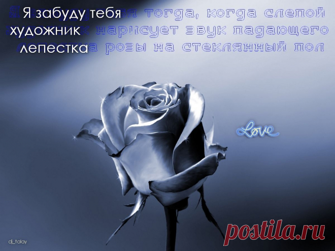 Афоторизмы dj_talay'a