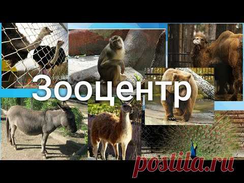 Прогулка по Зоопарку в ст. Каневской. Краснодарский край#ANZHELAKHIZ - YouTube