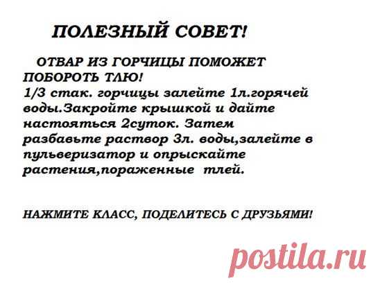 Одноклассники