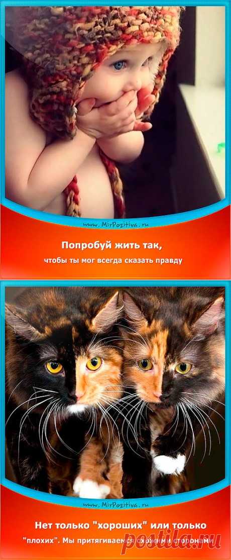 Позитивчики Недели (смотреть фото)