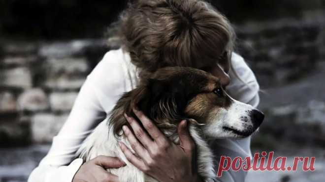 Больше ни на шаг...