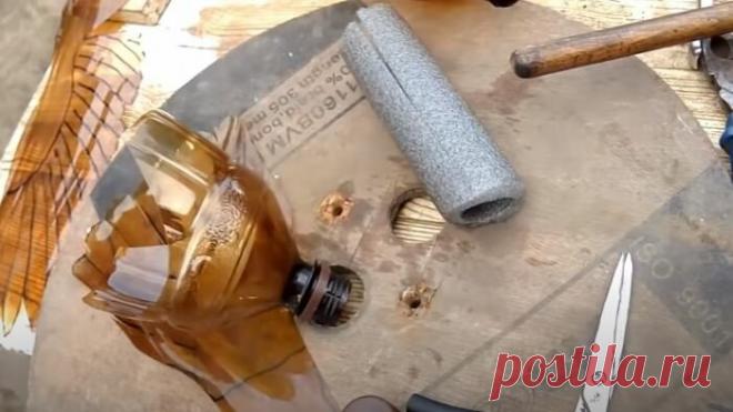 Дачник сделал пугало из пластиковой бутылки, которое птицы облетают десятой дорогой | Идеи для жизни | NOVATE.RU | Яндекс Дзен