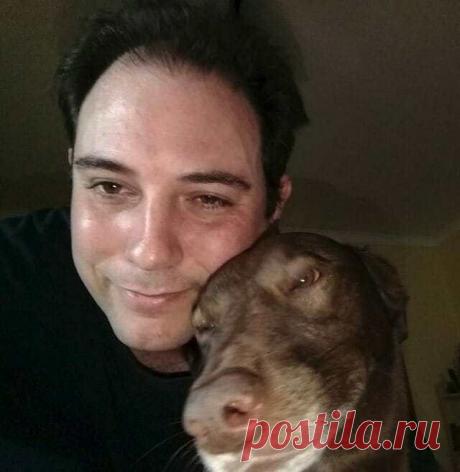 Она узнала своего хозяина Когда эту шоколадную красавицу по имени Пакита привезли в один из многочисленных аргентинских собачьих приютов, она была в печали. Сотрудникам поведали, что собаку отыскали на улице.
В принципе, по ней это было видно: она была грязной, испуганной и совершенно одинокой. Волонтёры центра для животных