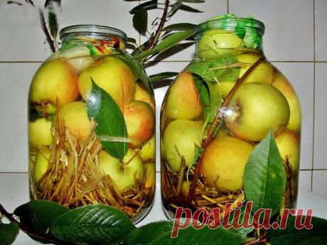 (97) Одноклассники