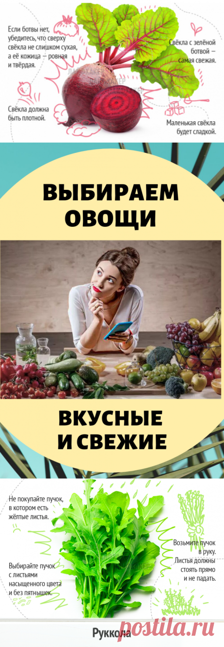 Выбираем вкусные и свежие овощи... Главное – знать!