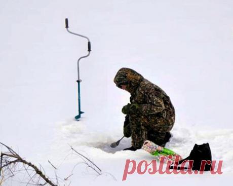 Окунь по первому льду: где и как искать, особенности поведения и питания | Рыбалка для людей | Яндекс Дзен