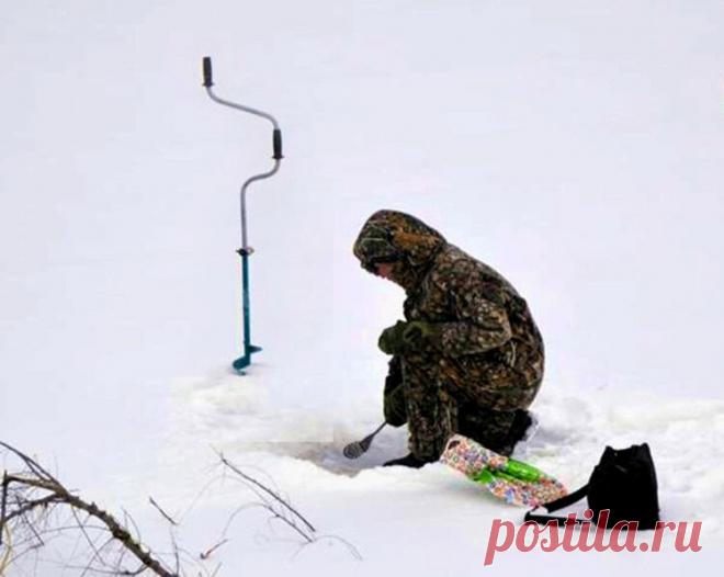 Окунь по первому льду: где и как искать, особенности поведения и питания | Рыбалка для людей | Яндекс Дзен