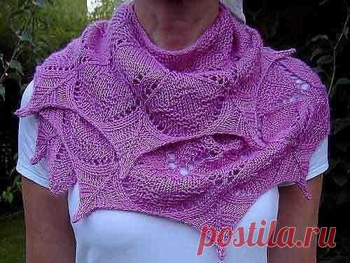 Бактус спицами: 14 красивых моделей со схемами, описанием и видео мк