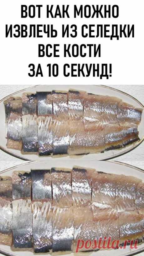 Вот как можно извлечь из селедки все кости за 10 секунд! Одно изящное движение руки, полминуты времени — и селедочное филе у тебя на столе!