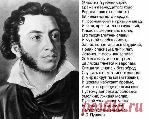 Дневник для любимых тем.