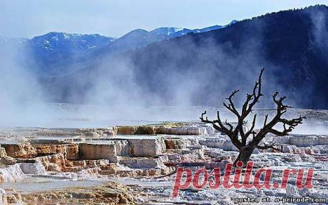 Гигантский Горячий Спрингс, Верхние Террасы, Йеллоустон.