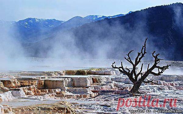 Гигантский Горячий Спрингс, Верхние Террасы, Йеллоустон.