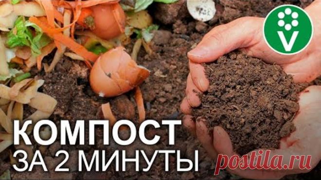ЛЕНИВЫЙ КОМПОСТ ПРЯМО НА ГРЯДКЕ: делаем правильно!