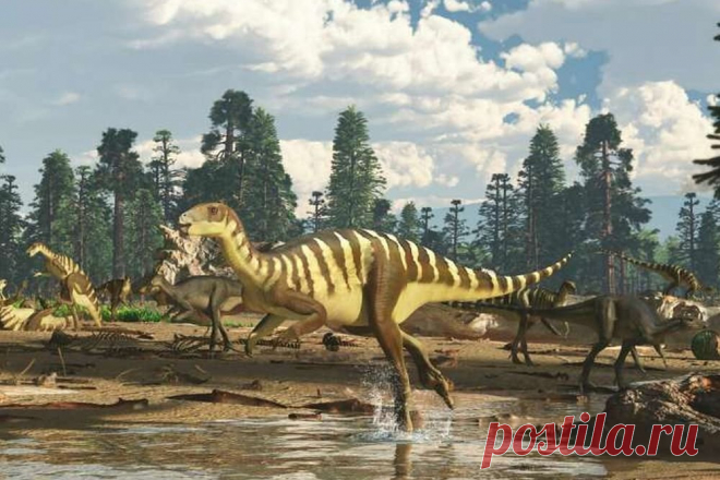 В Австралии открыт новый вид динозавров размером с кенгуру — Российская газета