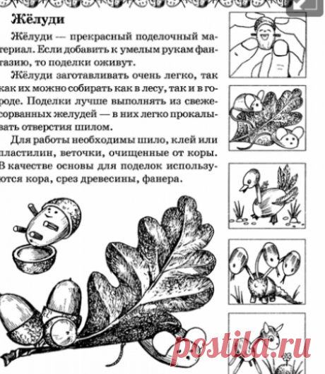 Поделки из Желудей