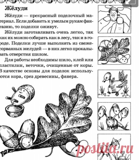 Поделки из Желудей