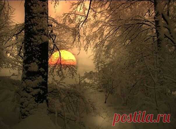 Мой Мир@Mail.Ru