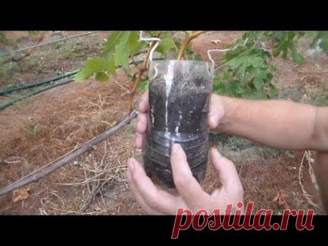 Отделение воздушного отводка - YouTube