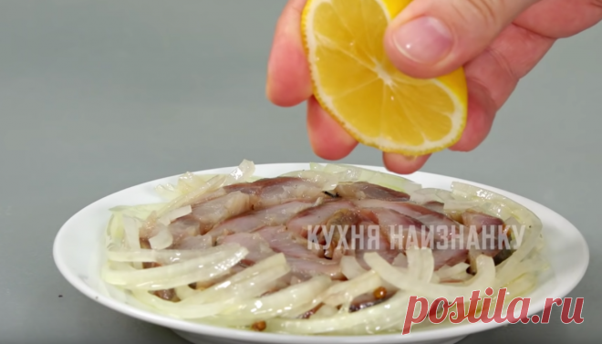 Воду не добавляю: малосольная селедка по-новому (через сутки можно есть) | Кухня наизнанку | Яндекс Дзен
