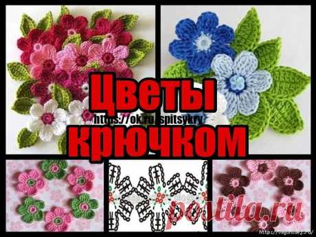 (1) Одноклассники