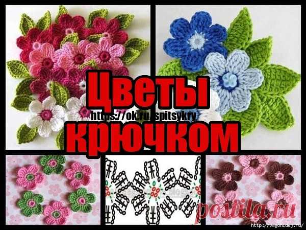 (1) Одноклассники