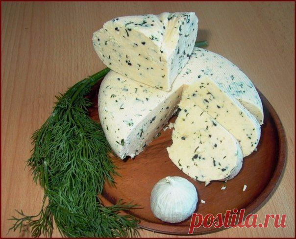 ТОР - 14 Подборка вкусных домашних сыров!