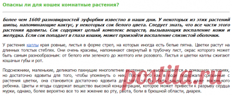 Комнатные растения опасные для кошек, эуфобия, калла, подснежники, предосторожности, что делать при отравлении кошки растениями, токсичные растения для кошек, болезни кошек, отравления кошек, кошки, реферат