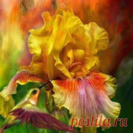 Очень красивые работы Carol Cavalaris﻿