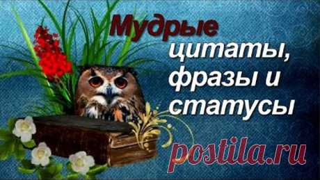 Мудрые цитаты, фразы и статусы Мудрые мысли и высказывания великих людей о смысле жизни, о счастье.
Wise thoughts and statements of great people about the meaning of life, of happiness.

Подписаться на канал смотреть творческие видео: 
https://www.youtube.com/channel/UC0O_ZS4eiFZ6LU8MwrrA3NA
ФУТАЖИ бесплатные для создания видео скачать по ссылке:
https://www.youtube.com/playlist?list=PLosHmNl3ixyIe6WeznL6c6OQfAHL0axdA