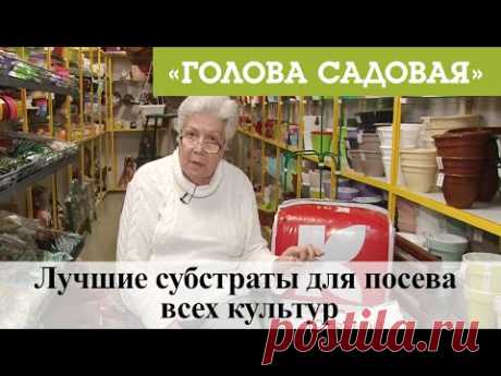 Голова садовая - Лучшие субстраты для посева всех культур