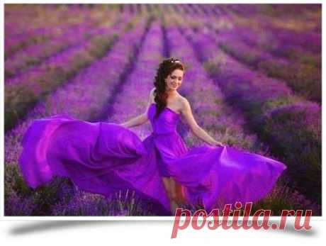 Никого не слушай, имей своё мнение, свою голову, свои мысли и идеи, планы на жизнь. Никогда не гонись ни за кем. Иди своей дорогой и не важно, что говорят за спиной. Говорили, говорят и всегда будут говорить. Тебя это не должно волновать. Люби. Твори. Мечтай и улыбайся чаще.

Бернард Шоу