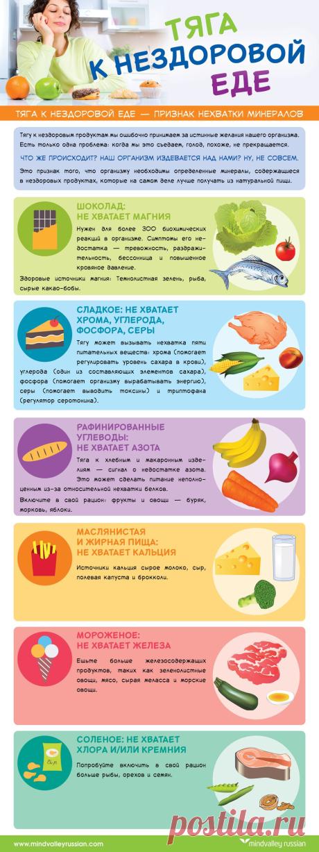 Код Габриэля|Нездоровая еда