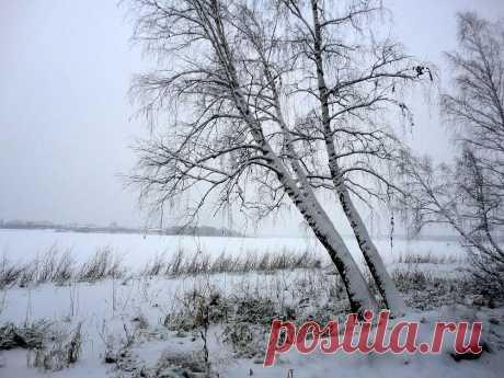 ФОТОМАСТЕРСКАЯ ПРИРОДЫ
Галина Седлова ( Герасименко)