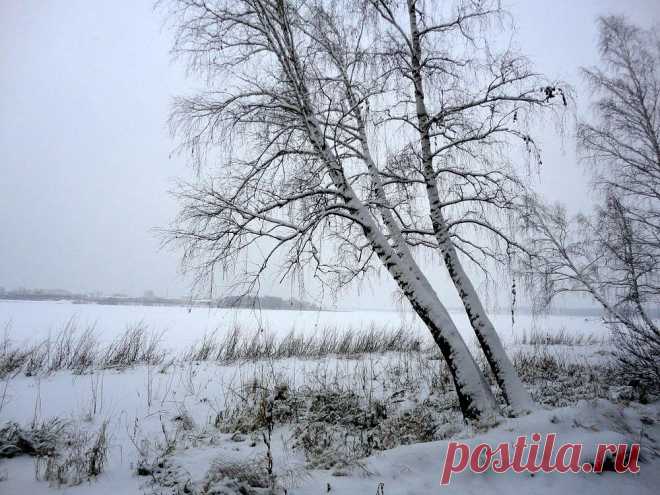 ФОТОМАСТЕРСКАЯ ПРИРОДЫ
Галина Седлова ( Герасименко)