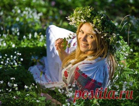 Людмила Трещева (Позднева)
54 года, Россия, Москва
все её