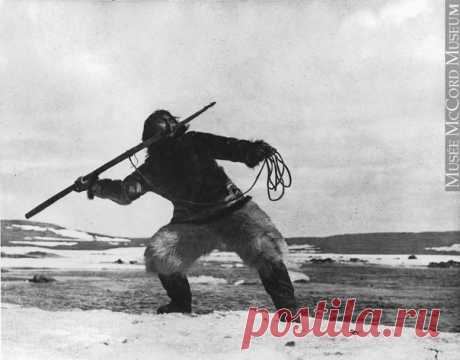 Девять километров пленки сгорели дотла, прежде чем появился документальный фильм о жизни эскимосов «Нанук с Севера».