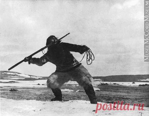 Девять километров пленки сгорели дотла, прежде чем появился документальный фильм о жизни эскимосов «Нанук с Севера».