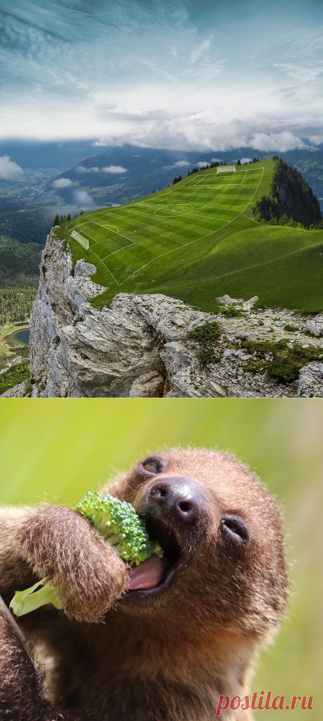 Картинки и фотографии на просторах интернета