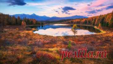 Скачать обои осень, лес, небо, озеро, краски, Россия, раздел пейзажи в разрешении 1920x1080