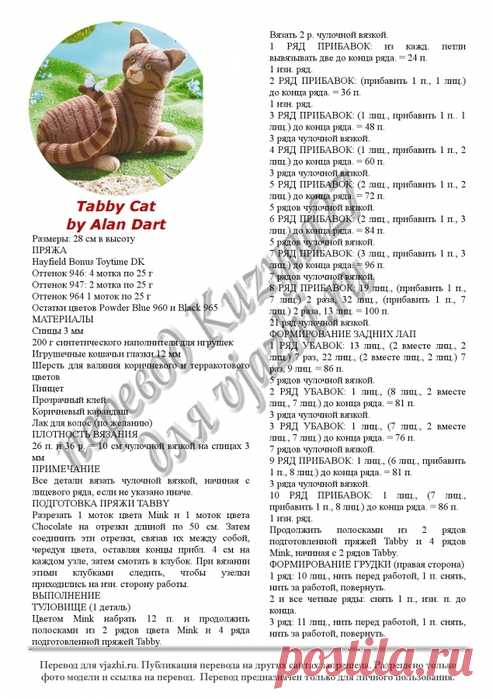 Полосатый кот