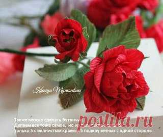 Лучшие МК  Талантливые Мастера  Реклама 

Подборка МК! Автор Ксения Мясоедова 
группа - Charmé / Sweet Flowers Свит дизайн 
Альбом http://vk.cc/498wu2 МК Свит - Дизайна 

#свит_дизайн@mk_topiary #букет_из_конфет@mk_topiary