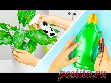 22 Полезных Совета для Любителей Домашних Растений 🪴 Уход, DIY, Декор