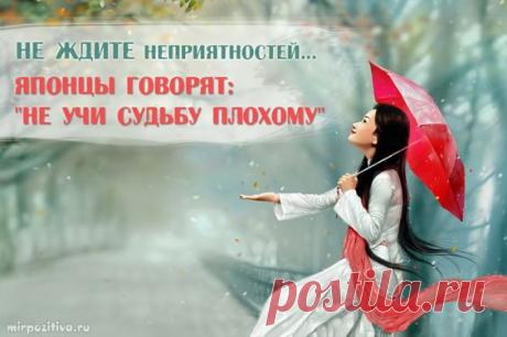 (5) Pinterest • Всемирный каталог идей