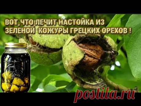 ВОТ,ЧТО ЛЕЧИТ ЗЕЛЕНАЯ КОЖУРА ГРЕЦКИХ ОРЕХОВ.МЕГА ЦЕЛИТЕЛЬНАЯ НАСТОЙКА С КОЖУРЫ ОРЕХОВ.